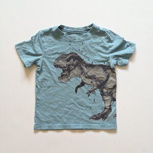 Carter's Dinosaur Boys Tee 4t PLAY condition for wash wear